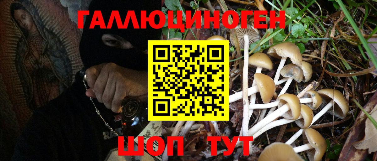 Отрадный  Псилоцибиновые грибы прущие грибы  Галлюциногенные грибы MAGIC MUSHROOMS  Вход с VPN 