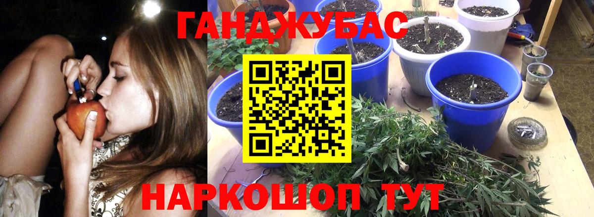 МАРИХУАНА SATIVA & INDICA  Вход с VPN  Отрадный  Марихуана гибрид  Каннабис Bruce Banner  Канабис VHQ 